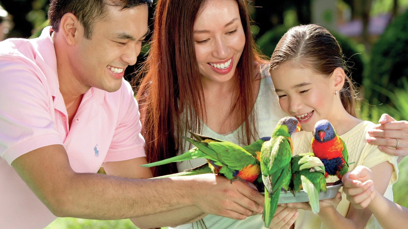 A couple and child feeding lorikeets at Currumbin Wildlife Sanctuary. Image credit: Tourism and Events Queensland