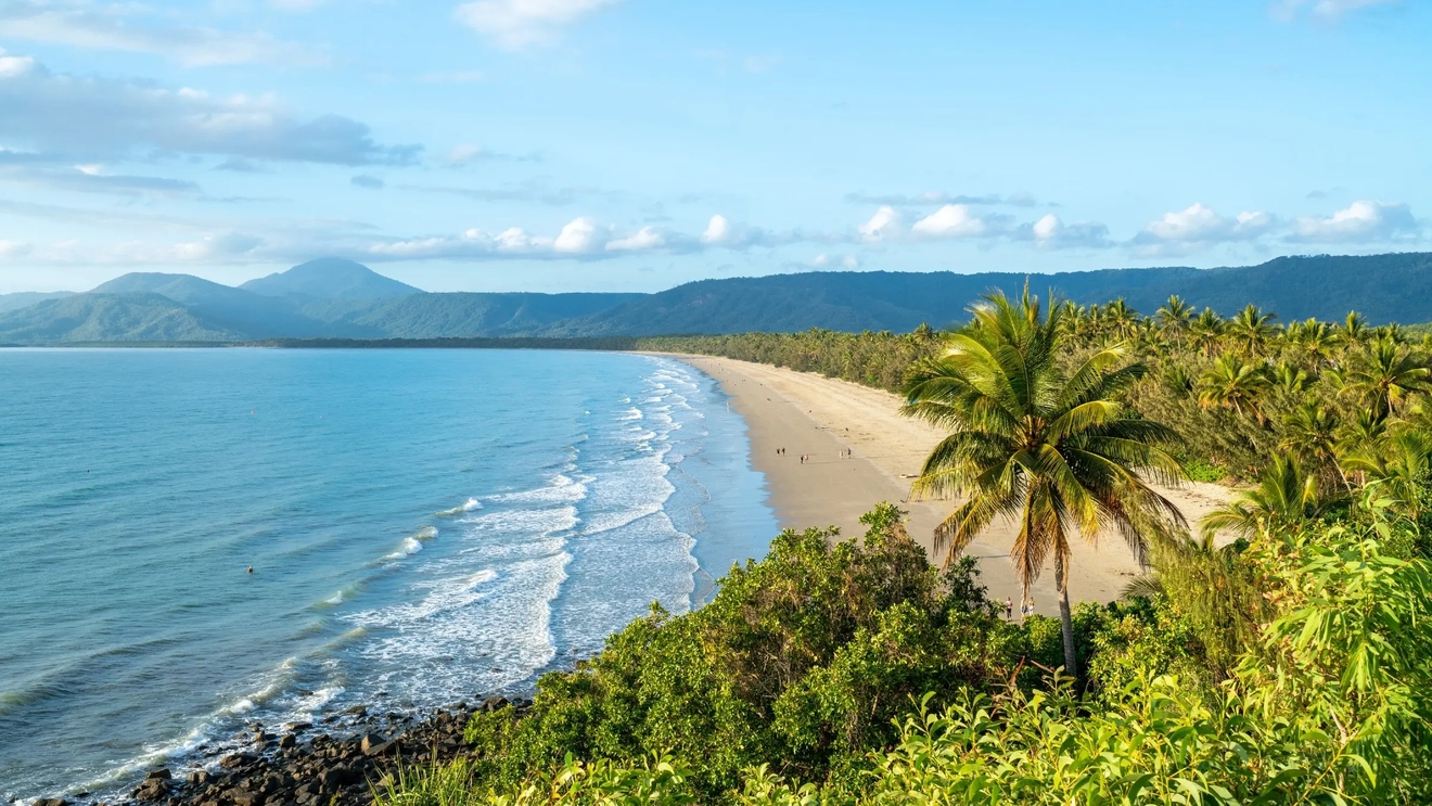 Aerial view of people on palm-fringed, white-sand beach, blue water with gentle waves, and mountains in the background at sunrise, Port Douglas, Tropical North Queensland. Image credit: Tourism and Events Queensland