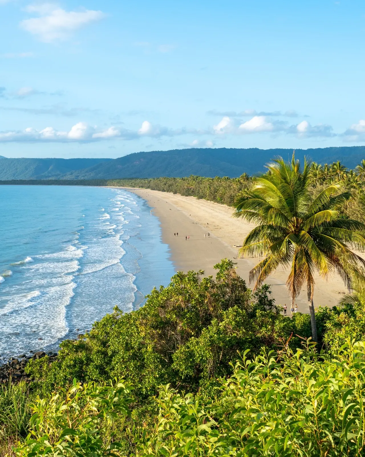 Aerial view of people on palm-fringed, white-sand beach, blue water with gentle waves, and mountains in the background at sunrise, Port Douglas, Tropical North Queensland. Image credit: Tourism and Events Queensland