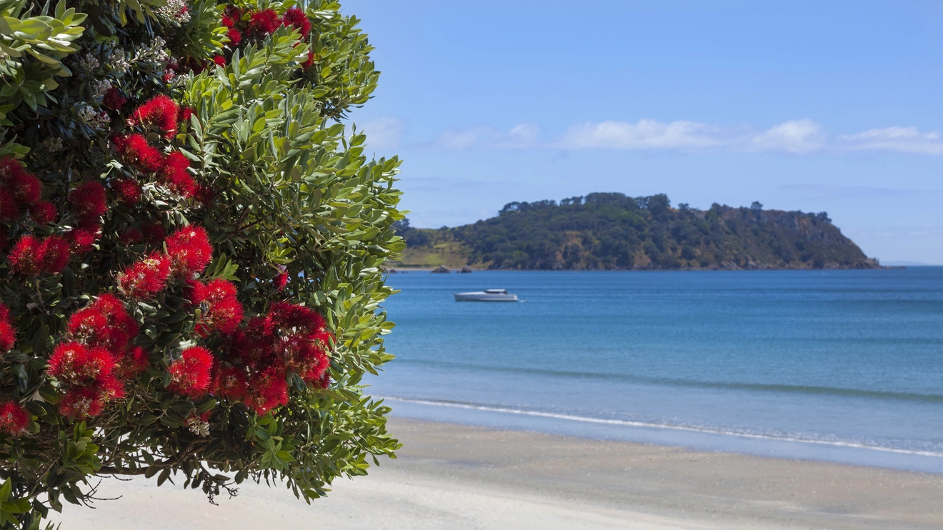 An idyllic beach on Waiheke Island, Auckland, New Zealand. Image credit: stock.adobe.com