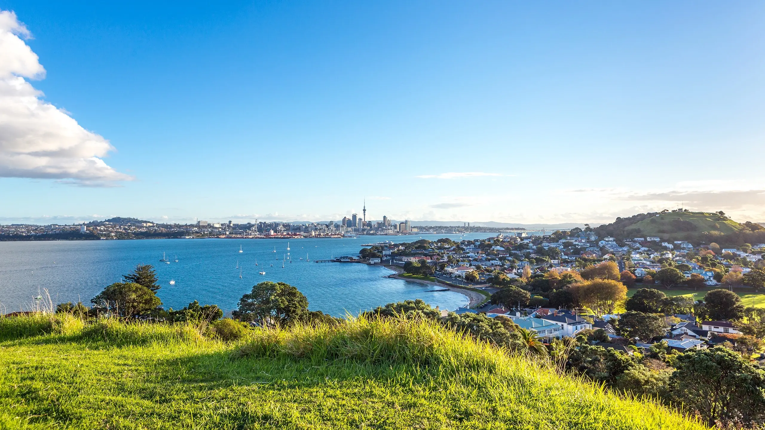 Looking from North Head across the Waitemata Harbour to the central city, with the leafy suburb of Devonport in the foreground, Auckland, New Zealand. Image credit: Shutterstock