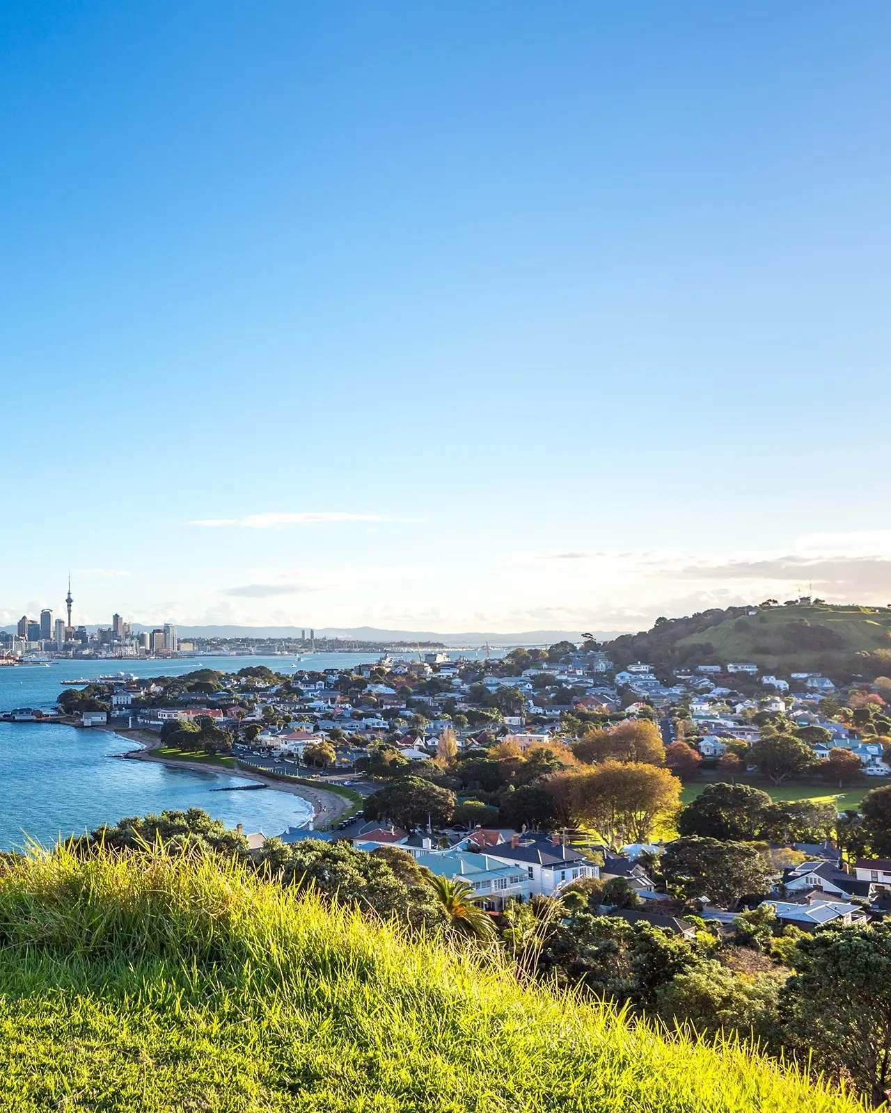 Looking from North Head across the Waitemata Harbour to the central city, with the leafy suburb of Devonport in the foreground, Auckland, New Zealand. Image credit: Shutterstock