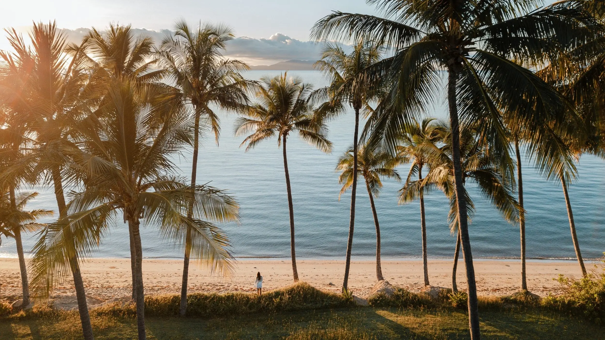 Lone person standing on beach flanked by palm trees and looking out onto the water. Image credit: Tourism and Events Queensland/Melissa Findley