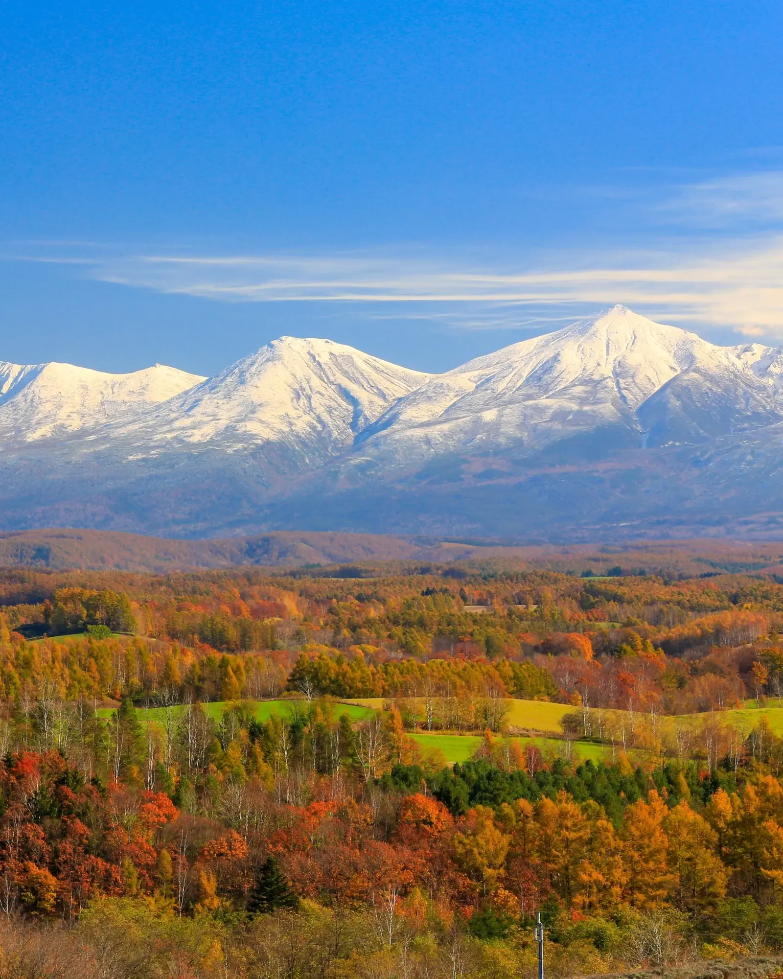 Snowcapped Tokachi mountains with autumn foliage and green fields in the foreground, Furano, Hokkaido, Japan. Image credit: stock.adobe.com