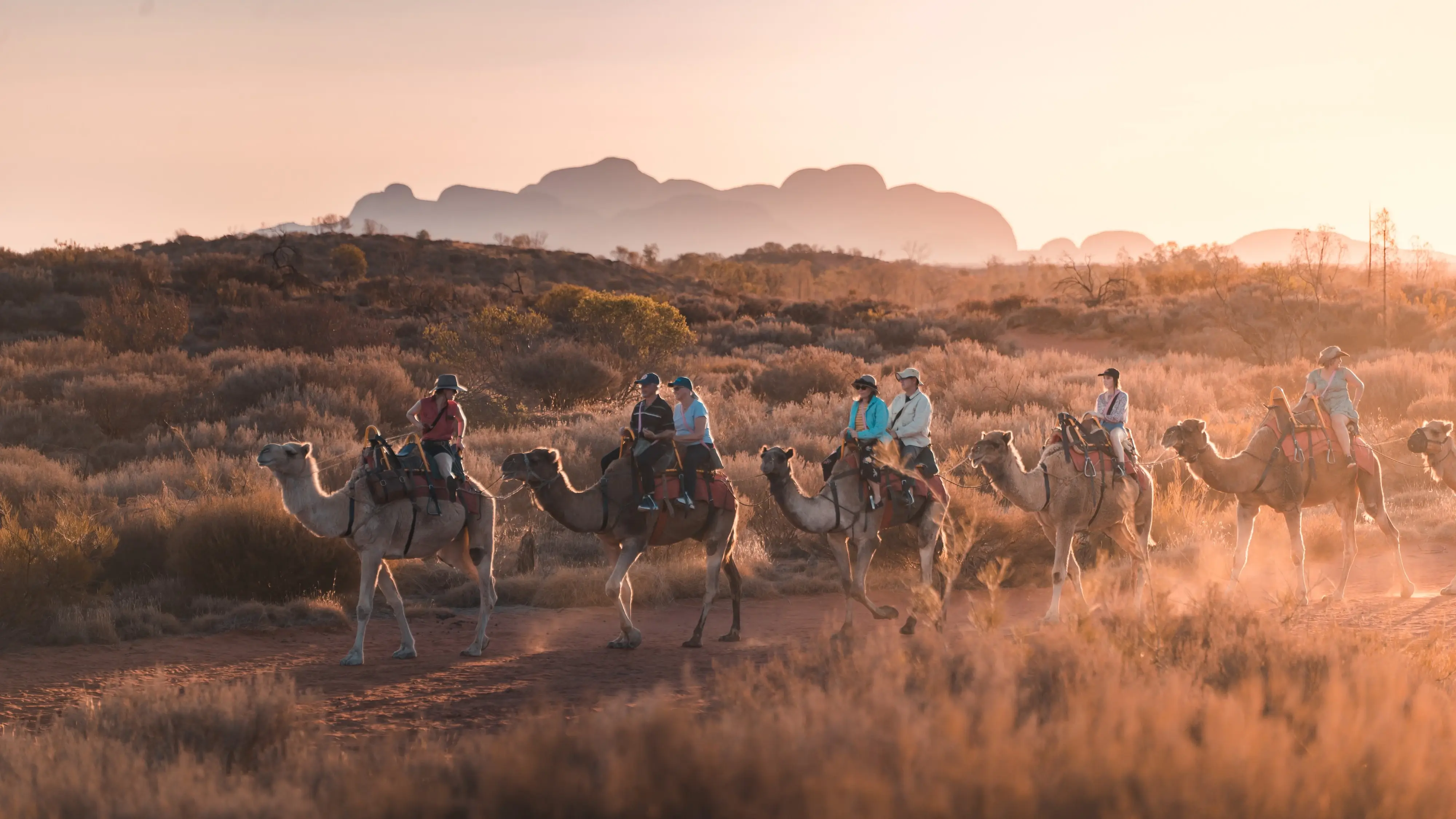 Tourists on camelback being lead through the Uluru landscape at sunrise. Image credit: Tourism NT/Nic Morley
