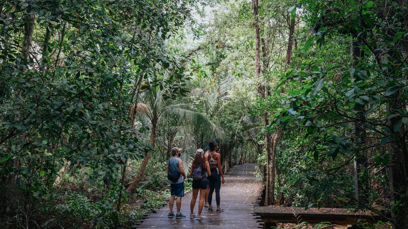 A group of people on a walking trail surrounded by forest, on Pulau Ubin, Singapore. Image credit: Singapore Tourism Board