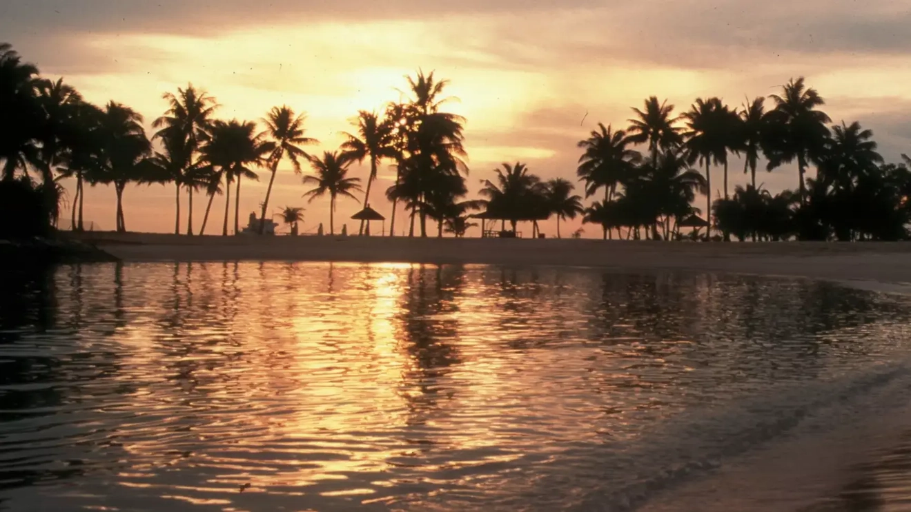 Palm-tree-fringed Tanjong Beach at sunset, Sentosa Island, Singapore. Image credit: Singapore Tourism Board