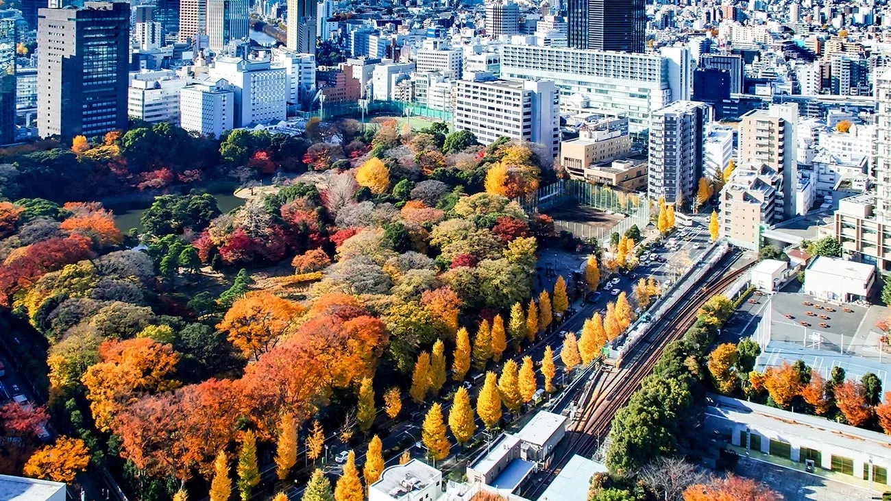 The Koishikawa Kōrakuen garden in Tokyo during autumn.