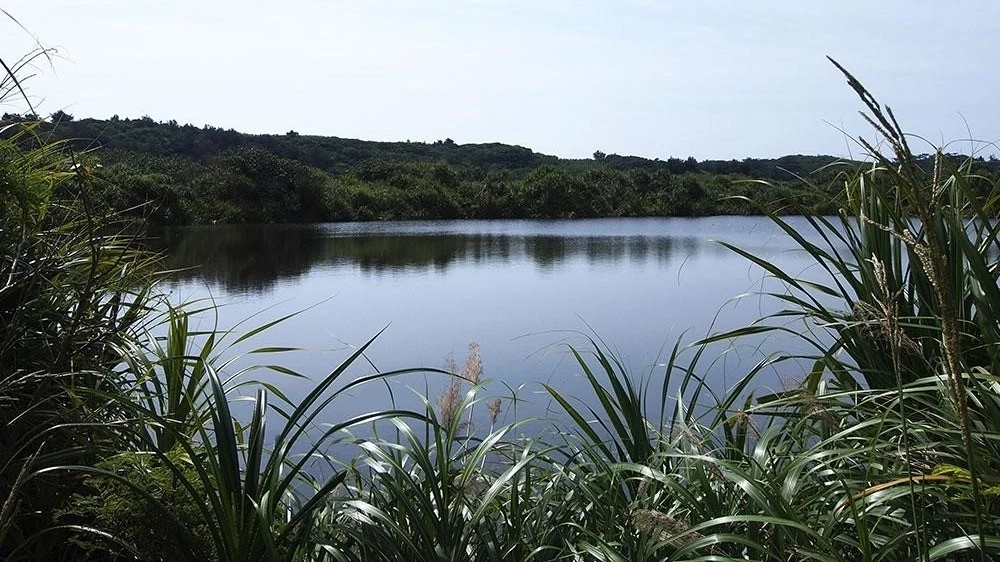 Ōike karst pond, Okinawa
