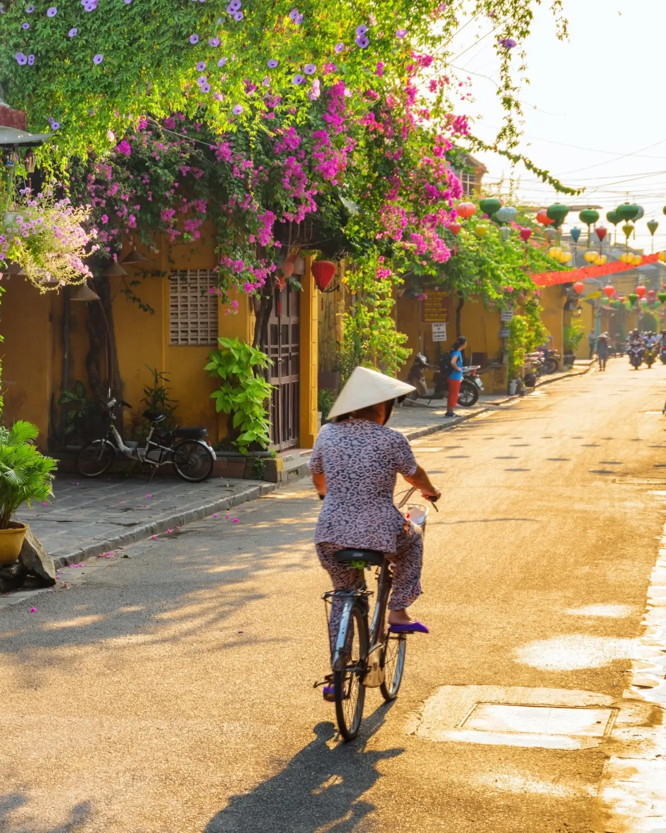 Person in traditional Vietnamese clothing cycling in Hoi An Old Town street lined by yellow buildings adorned with plant pots, at sunrise. Image credit: stock.adobe.com