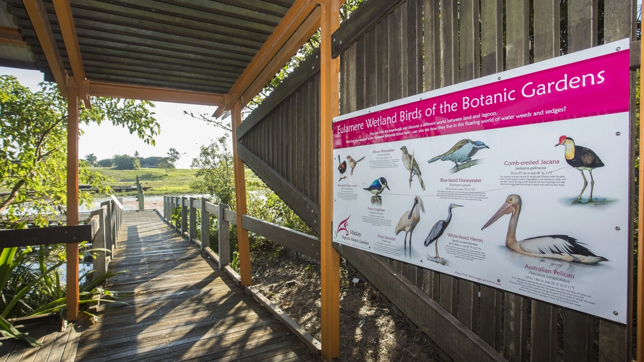 Sign displaying wetlands birds of the Botanic Gardens on boardwalk in Mackay Regional Botanic Garden. Image credit: Tourism and Events Queensland/Brooke Miles
