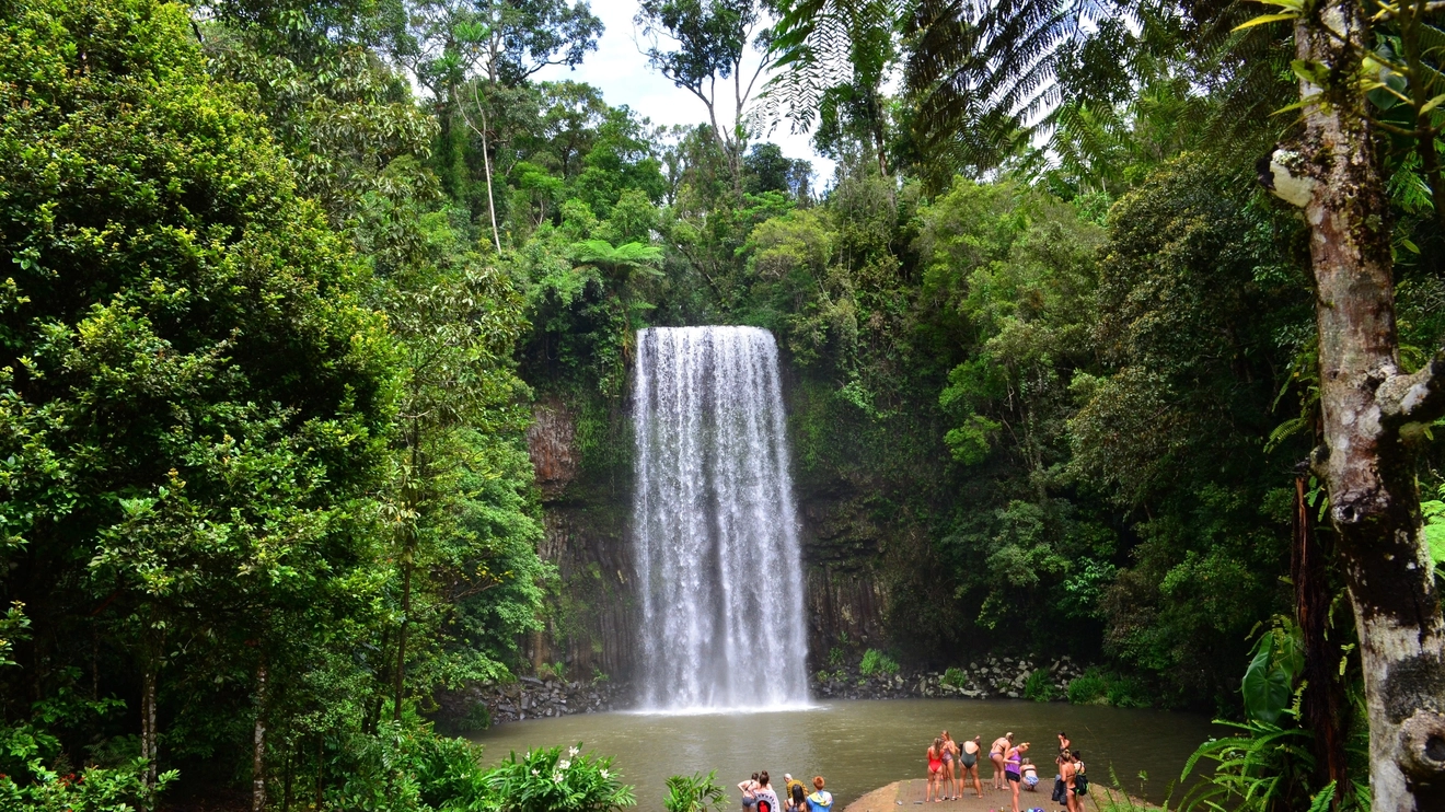 The white water of Millaa Millaa falls dropping straight down into a waterhole surrounded by tropical greenery, with several people looking on in swimsuits and towels. Image credit: Shutterstock
