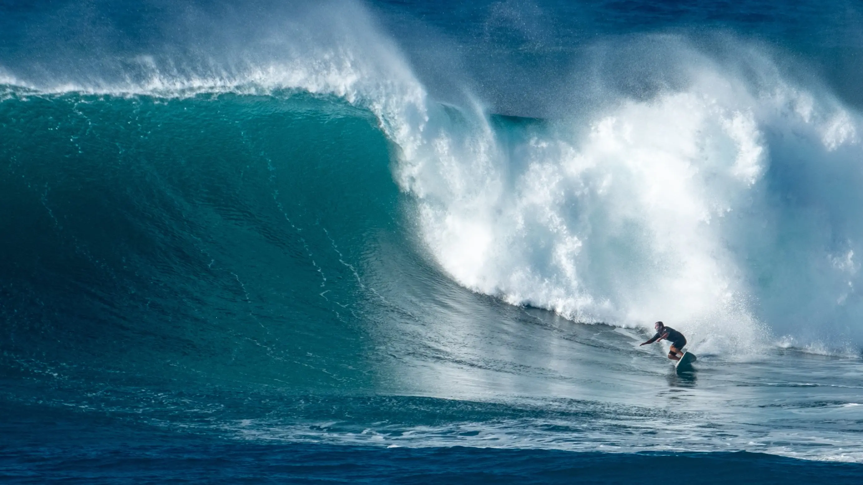 Person surfing tall wave at Waimea Bay on O'hau's North Shore. Image credit: stock.adobe.com