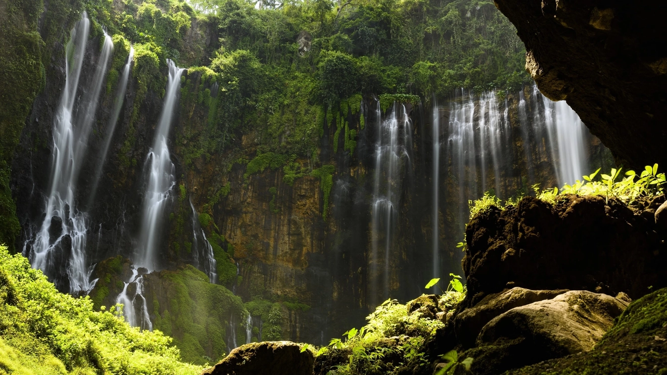The Tumpak Sewu Waterfall cascading over greenery and moss-covered rock at sunrise. Image credit: stock.adobe.com