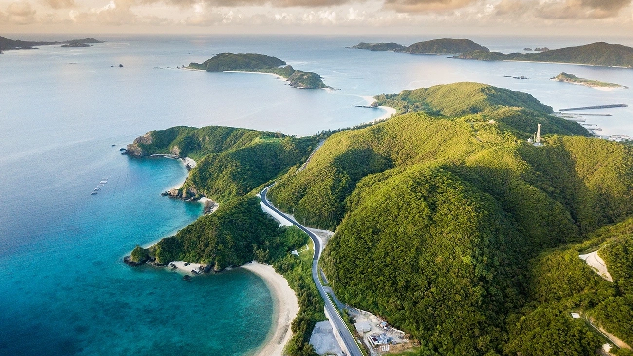 Green islands surrounded by water.
