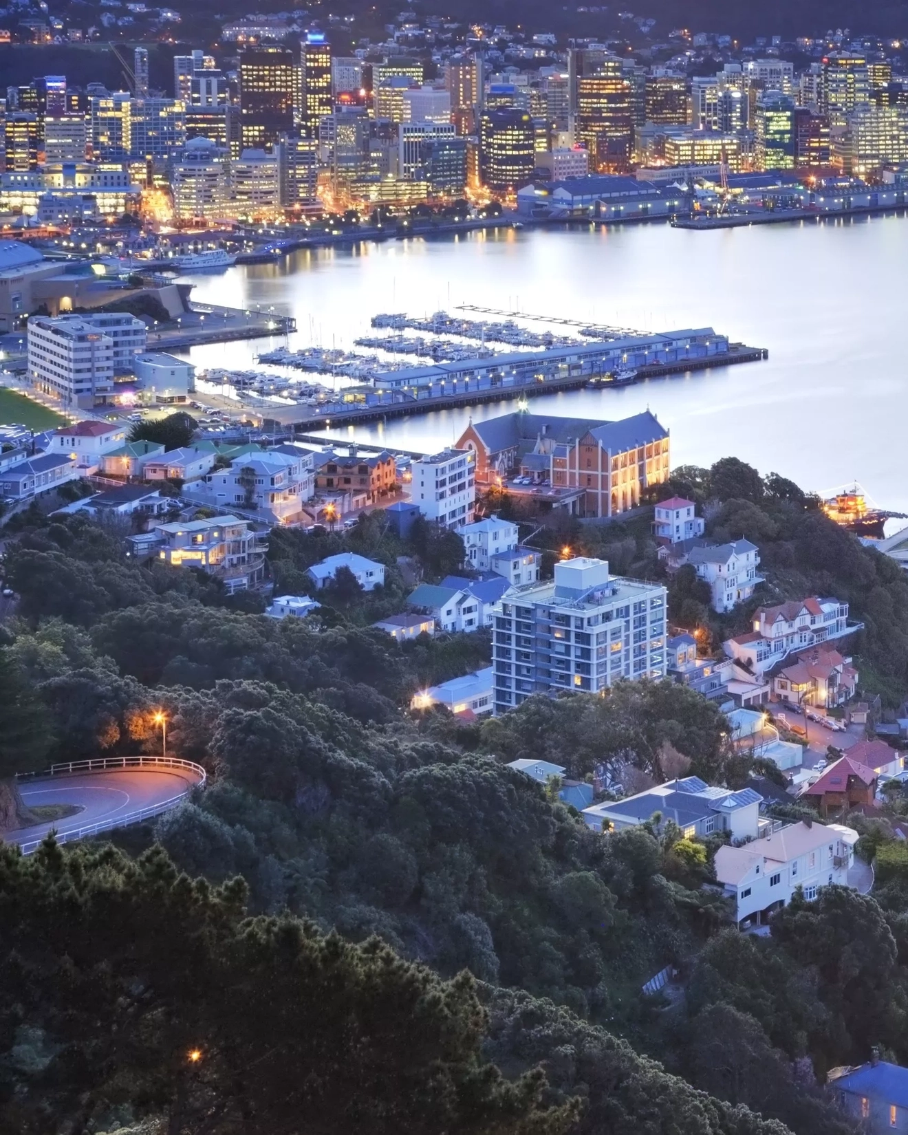 Aerial view of Wellington city at twilight. Image credit: stock.adobe.com
