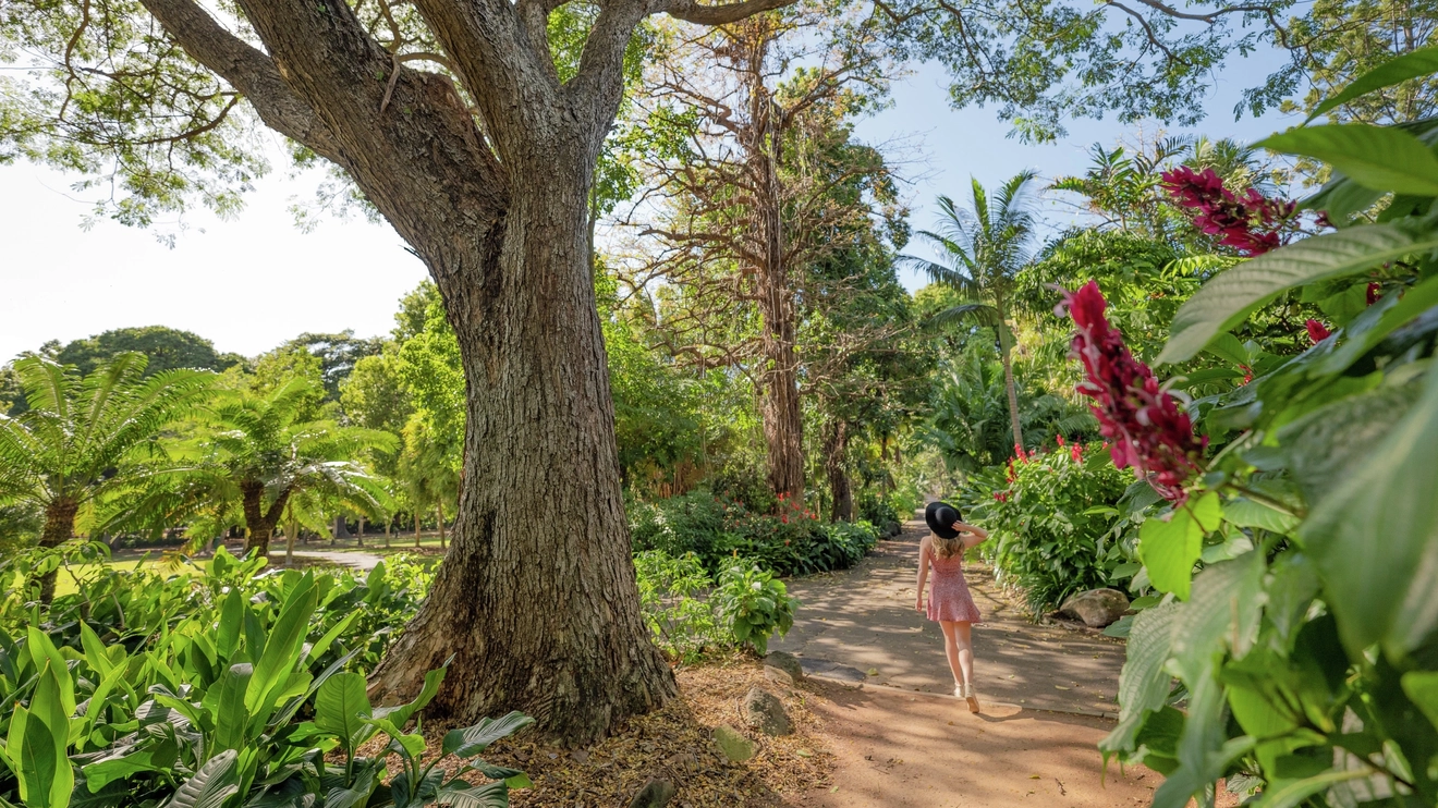 Young woman walks among the greenery, Queens Gardens, Townsville. Image credit: Tourism and Events Queensland