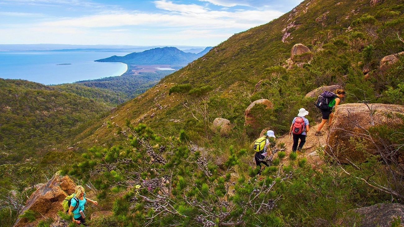 Hikers on a steep path in the Hazards, Freycinet, with an ocean view beyond.