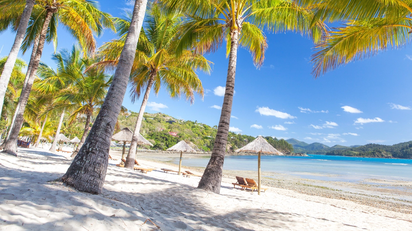 Palm trees and deck chairs on the shores of Catseye Beach, Hamilton Island, Queensland. Image credit: Shutterstock