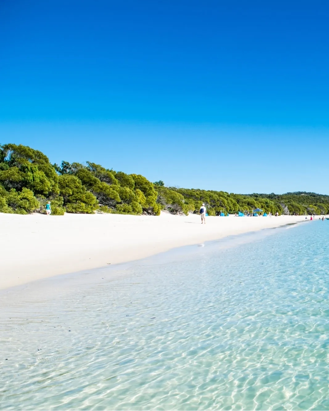 White-sand beach, clear, turquoise water, and people and boats in the background, Whitehaven Beach, Whitsunday Island, Queensland.