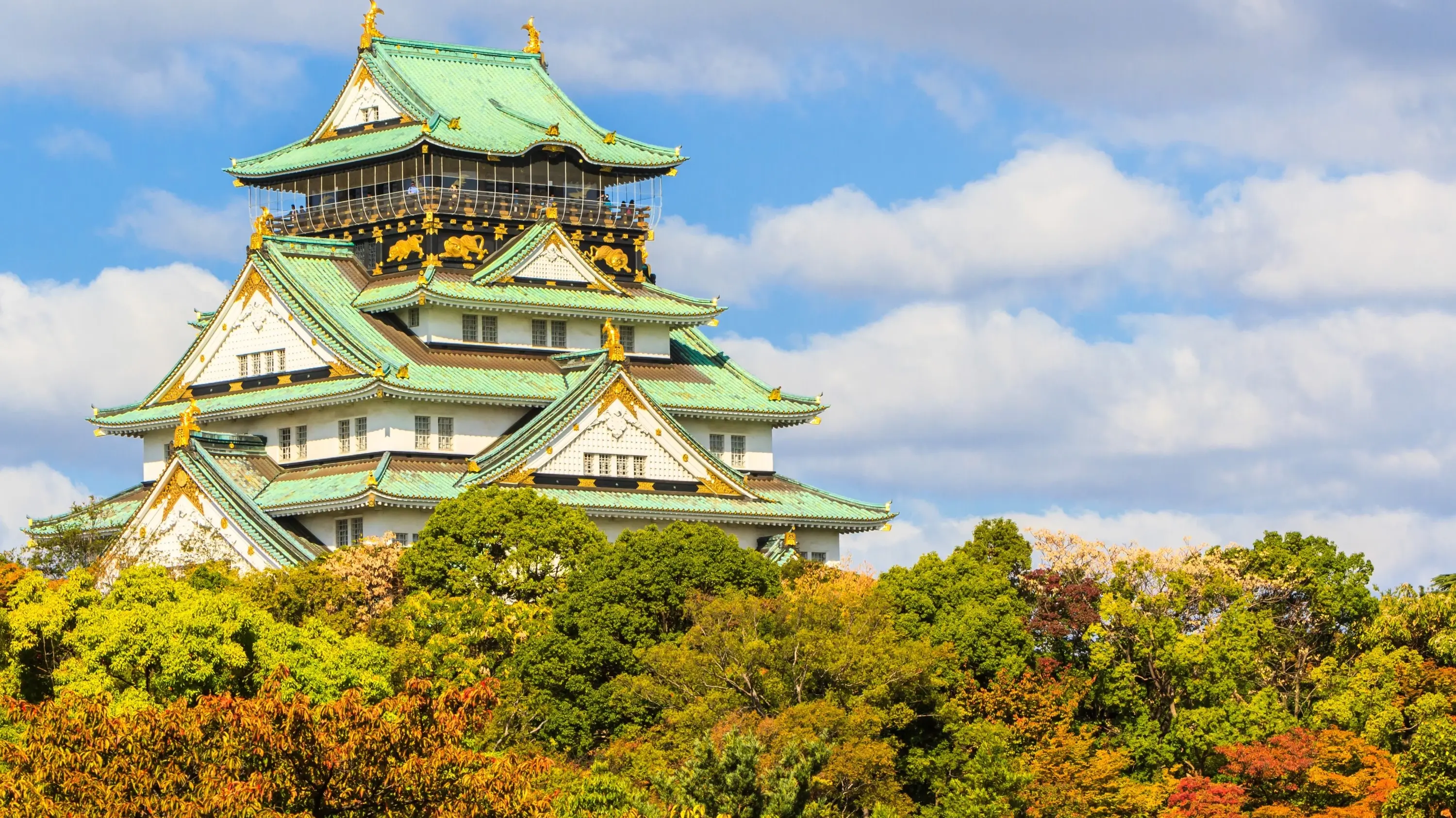 Osaka Castle with its white walls and green eaved roof against fluffy clouds and surrounded by autumnal tree-tops. Image credit: stock.adobe.com