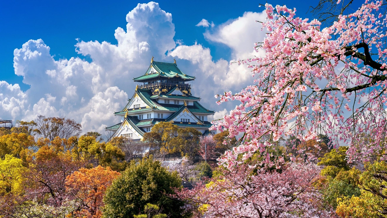 Japan’s Osaka Castle surrounded by trees and cherry blossoms, with blue sky and white clouds in background.