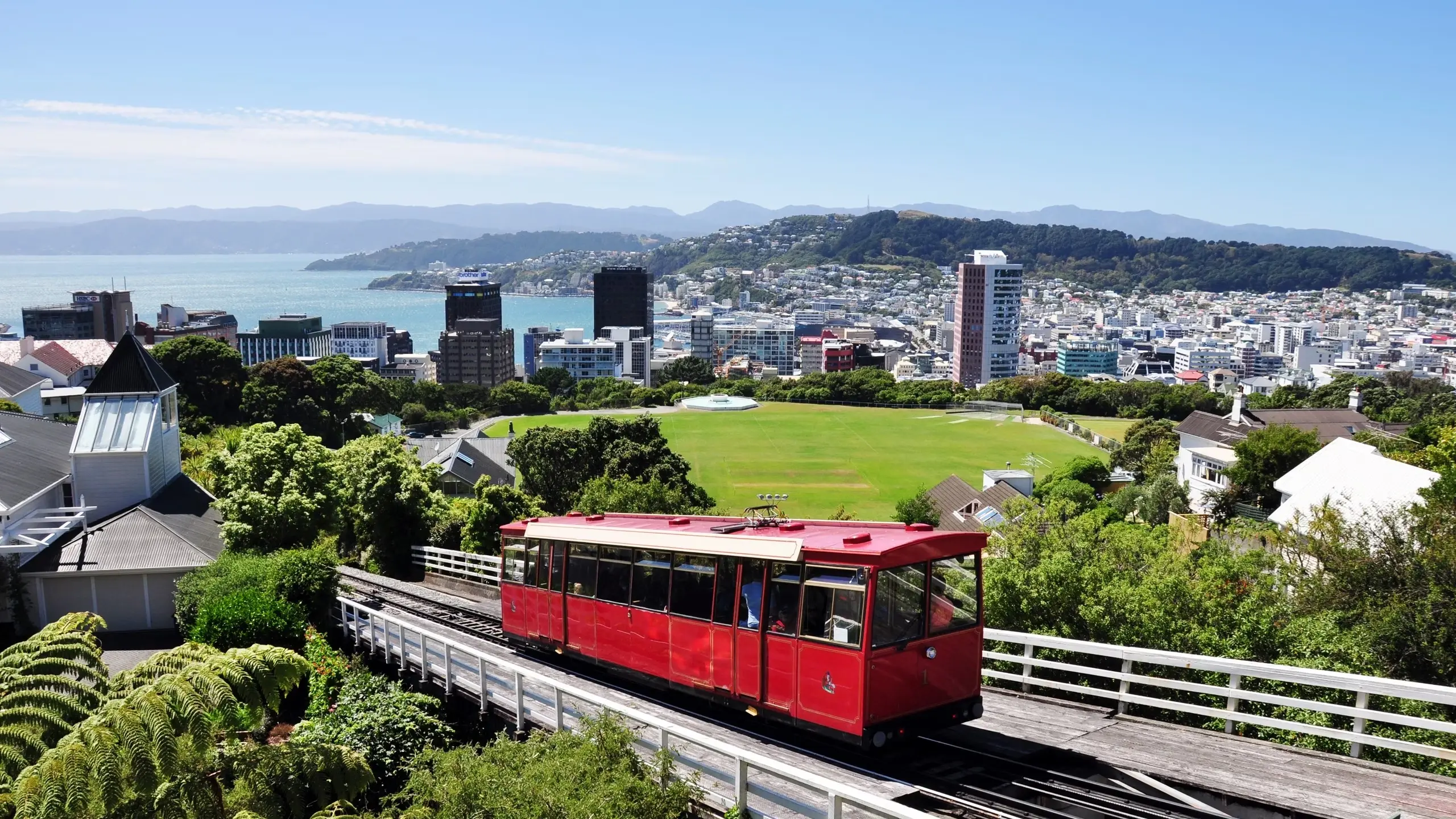 A red cable car on a track above a cricket pitch with the harbour in the background, Wellington, New Zealand. Image credit: Shutterstock