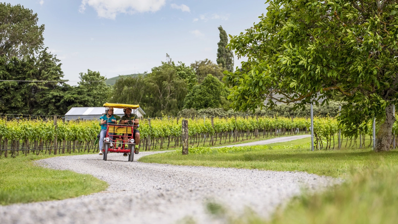 Two people in a buggy on vineyard-fringed road in Martinborough, Waipara wine region, New Zealand. Image credit: Camilla Rutherford