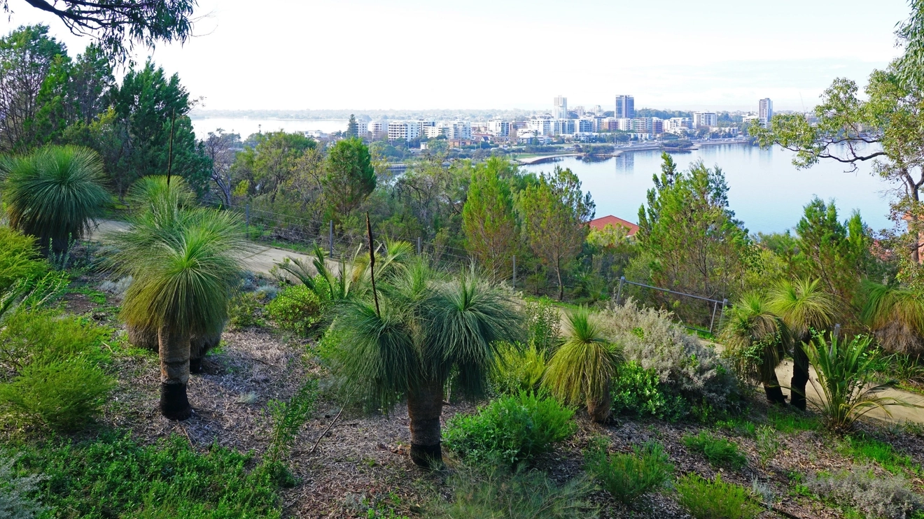 Kings Park and Botanic Garden with view of Perth city skyline and Swan River. Image: EQRoy.