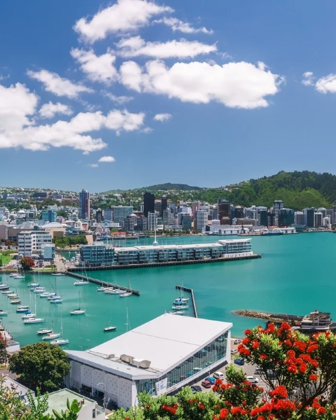 Wellington city, buildings and harbour seen from Mount Victoria with a summer flowering Pohutakawa tree in the foreground, Wellington, New Zealand. Image credit: stock.adobe.com