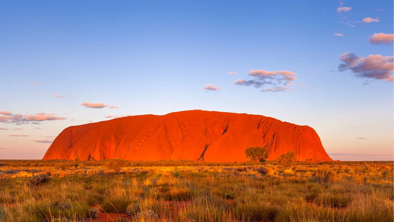 Desert scrub with Uluru in background, at sunset.