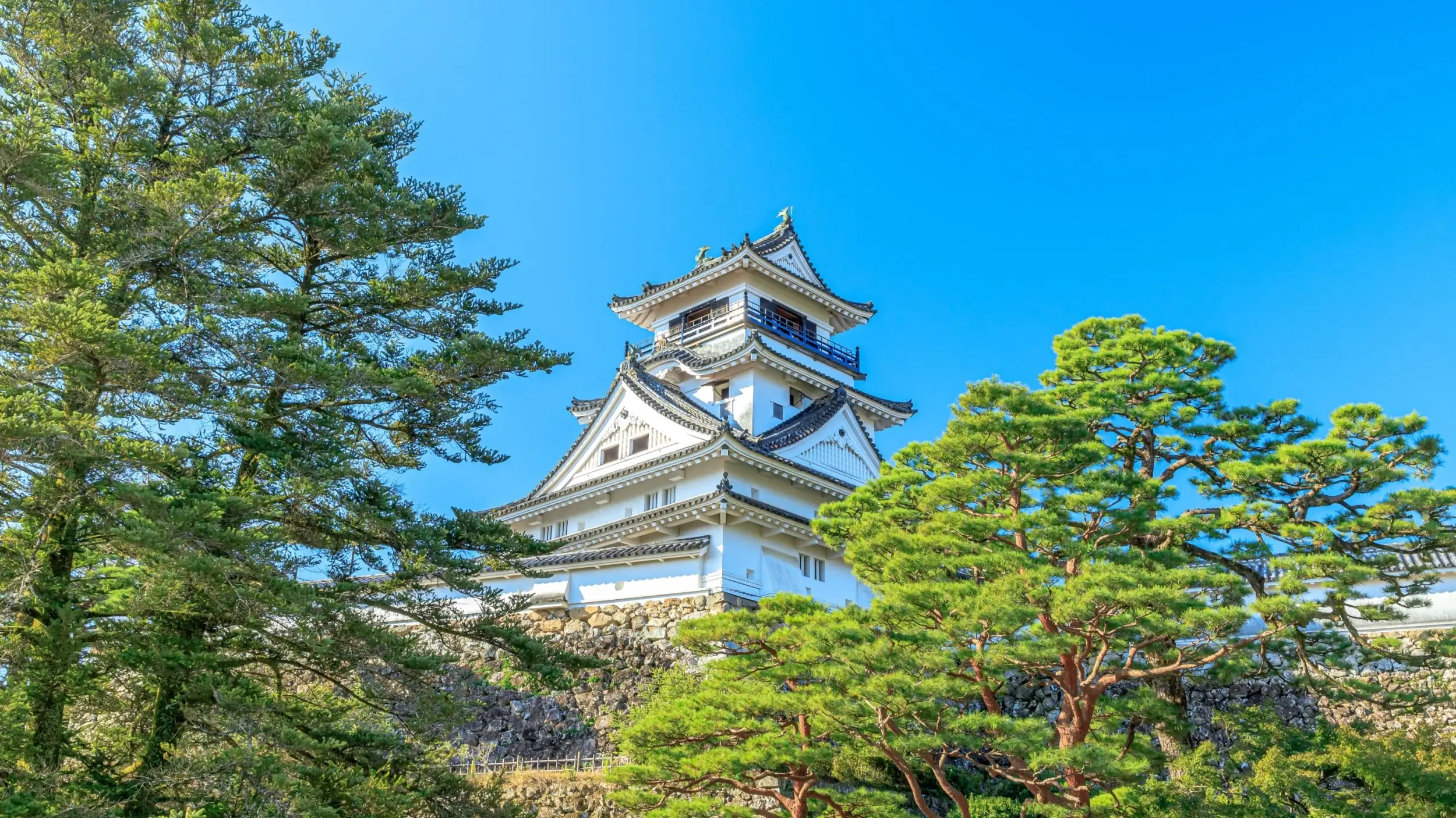 Kochi Castle and green trees against clear blue sky, Kochi, Shikoku, Japan. Image credit: stock.adobe.com