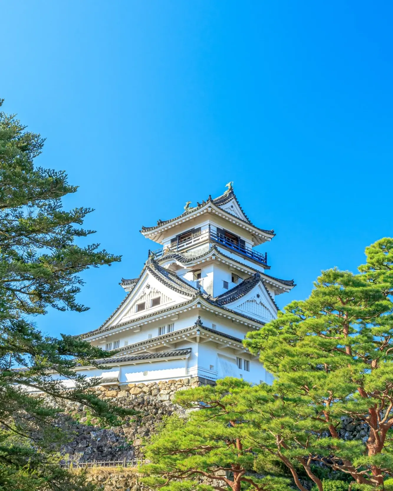 Kochi Castle and green trees against clear blue sky, Kochi, Shikoku, Japan. Image credit: stock.adobe.com