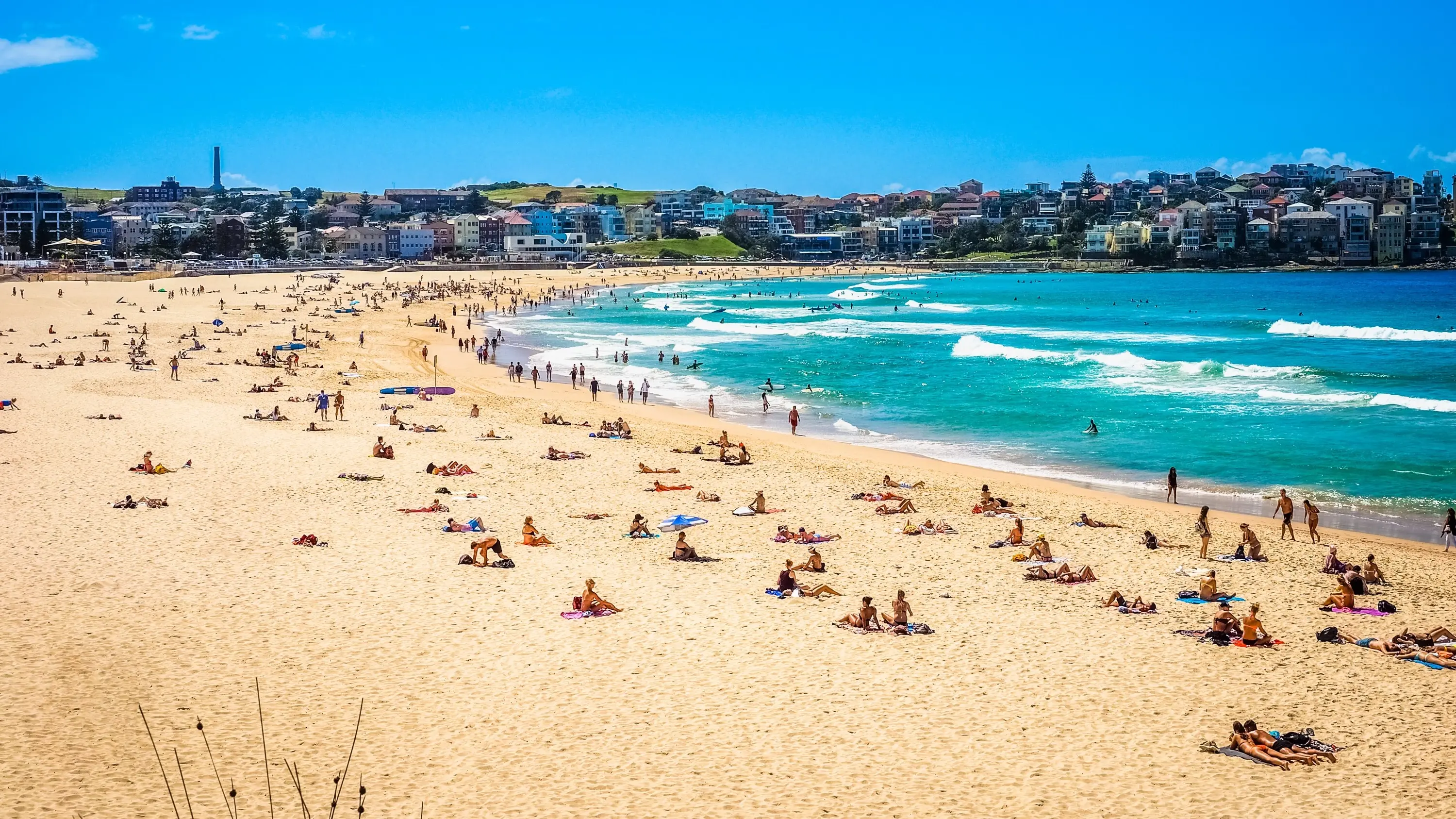 Bondi Beach on a sunny day with people sitting on the sand. Image credit: Shutterstock