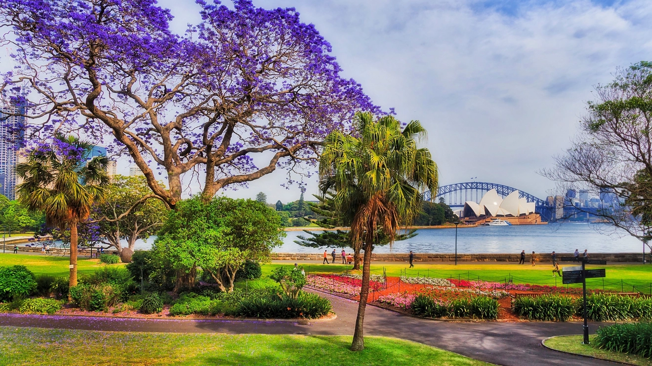 View of a colourful garden with large trees. Across the water stands the Sydney Opera House and Harbour Bridge. Image credit: taras vyshnya/shutterstock.com