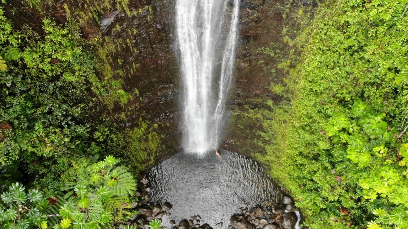 Manoa falls near Honolulu