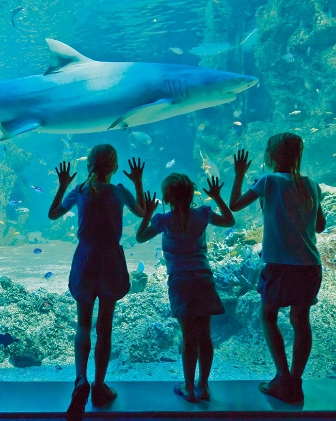 Kids will be amazed by Sea Life Sydney Aquarium