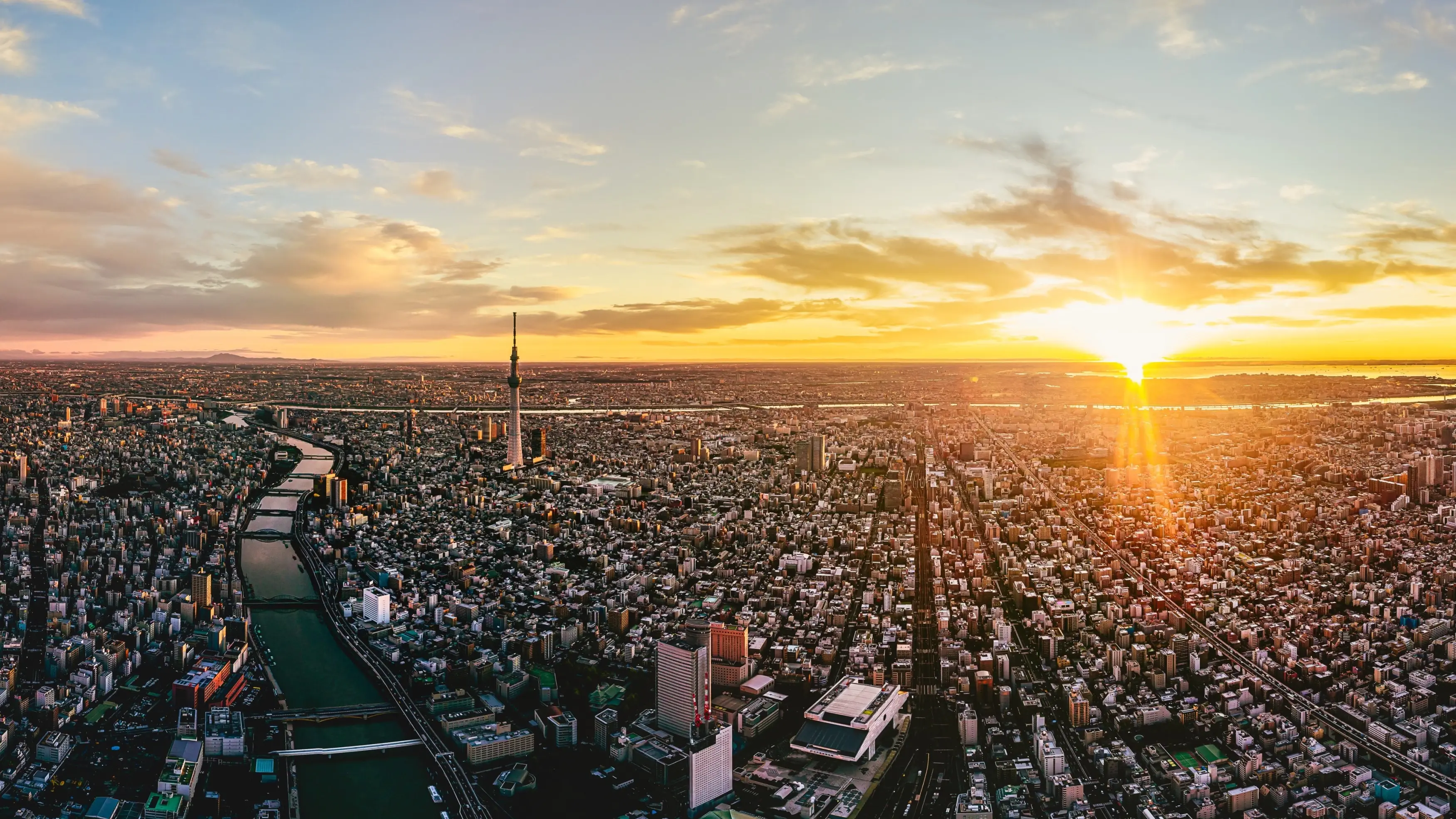 Aerial view of Tokyo's skyline, including river and Skytree, at sunrise. Image credit: stock.adobe.com