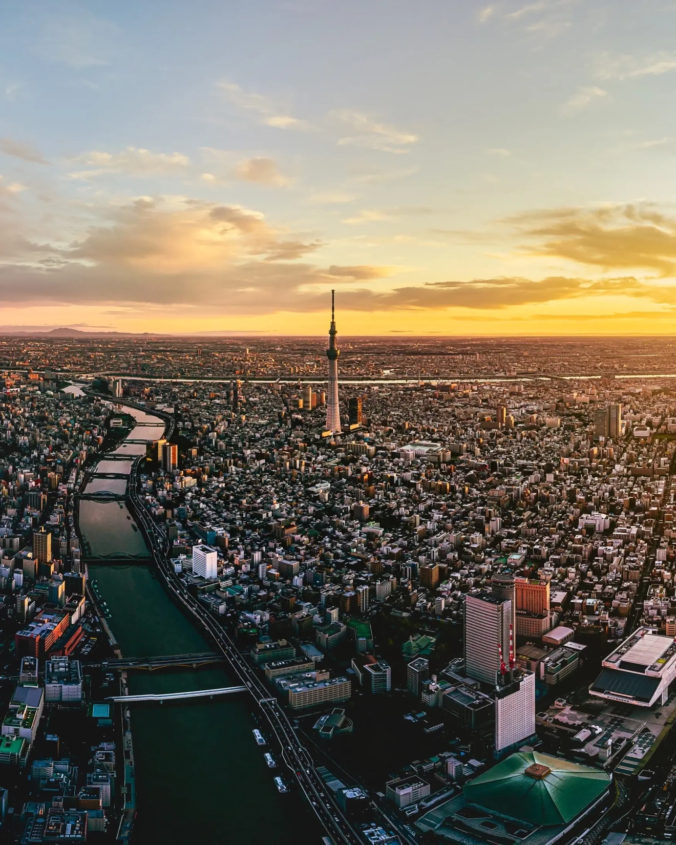 Aerial view of Tokyo's skyline, including river and Skytree, at sunrise. Image credit: stock.adobe.com
