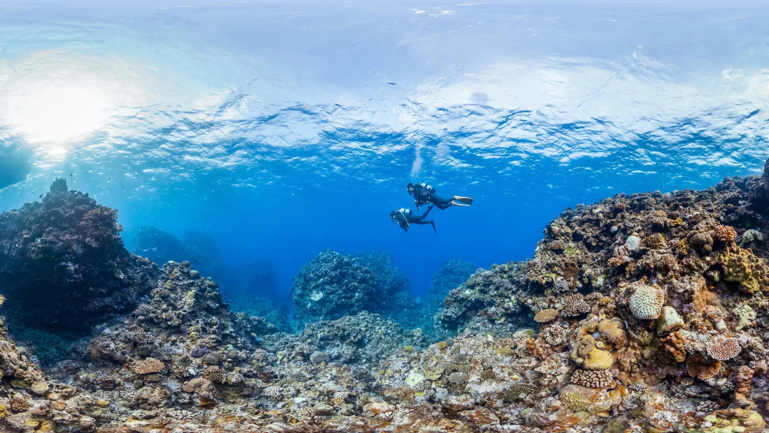 Two scuba divers underwater, diving a coral reef in Okinawa. Image credit: stock.adobe.com