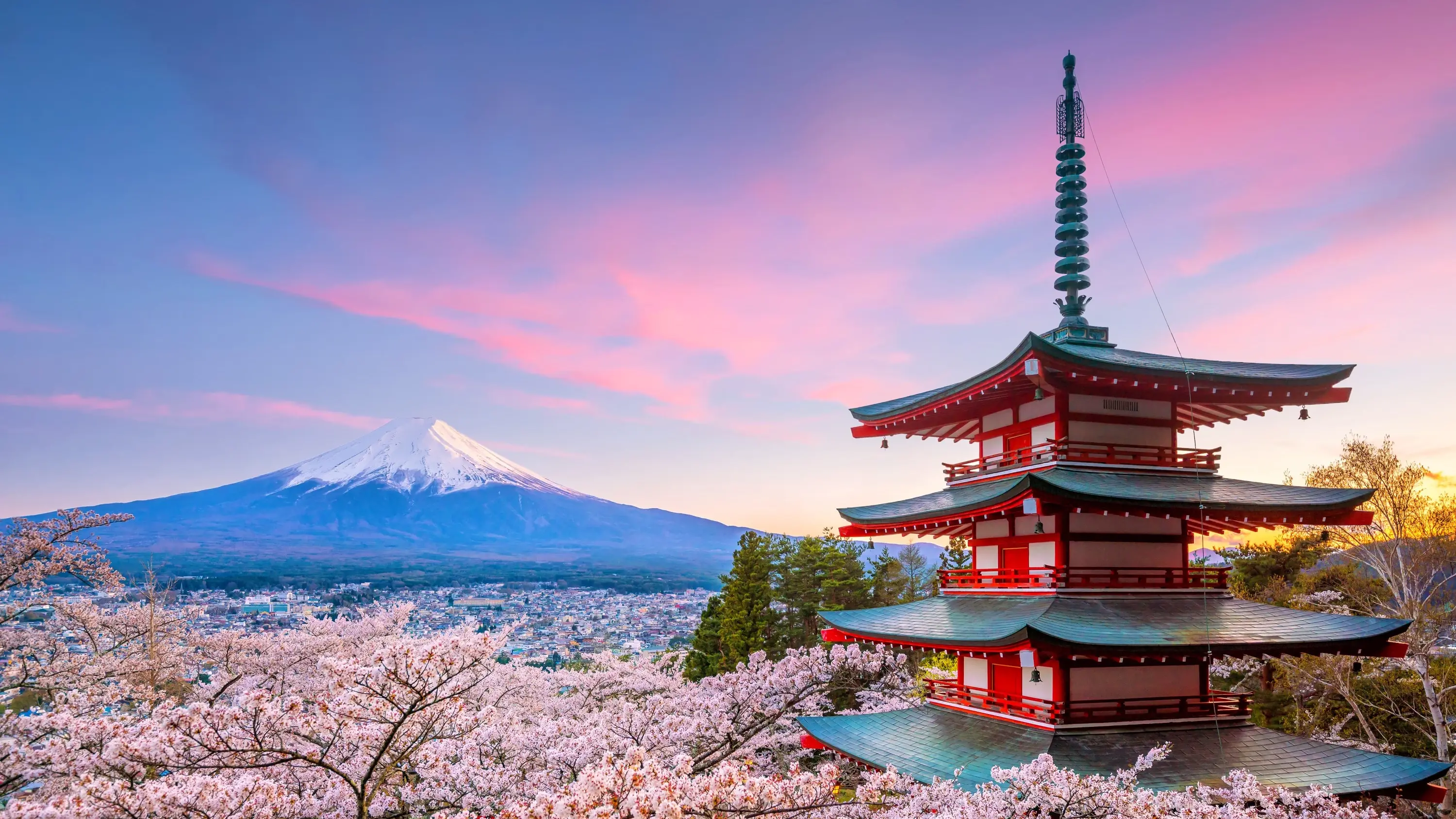 A pink sunset sky over snowcapped Mount Fuji with a red pagoda and pink cherry blossoms in the foreground. Image credit: stock.adobe.com