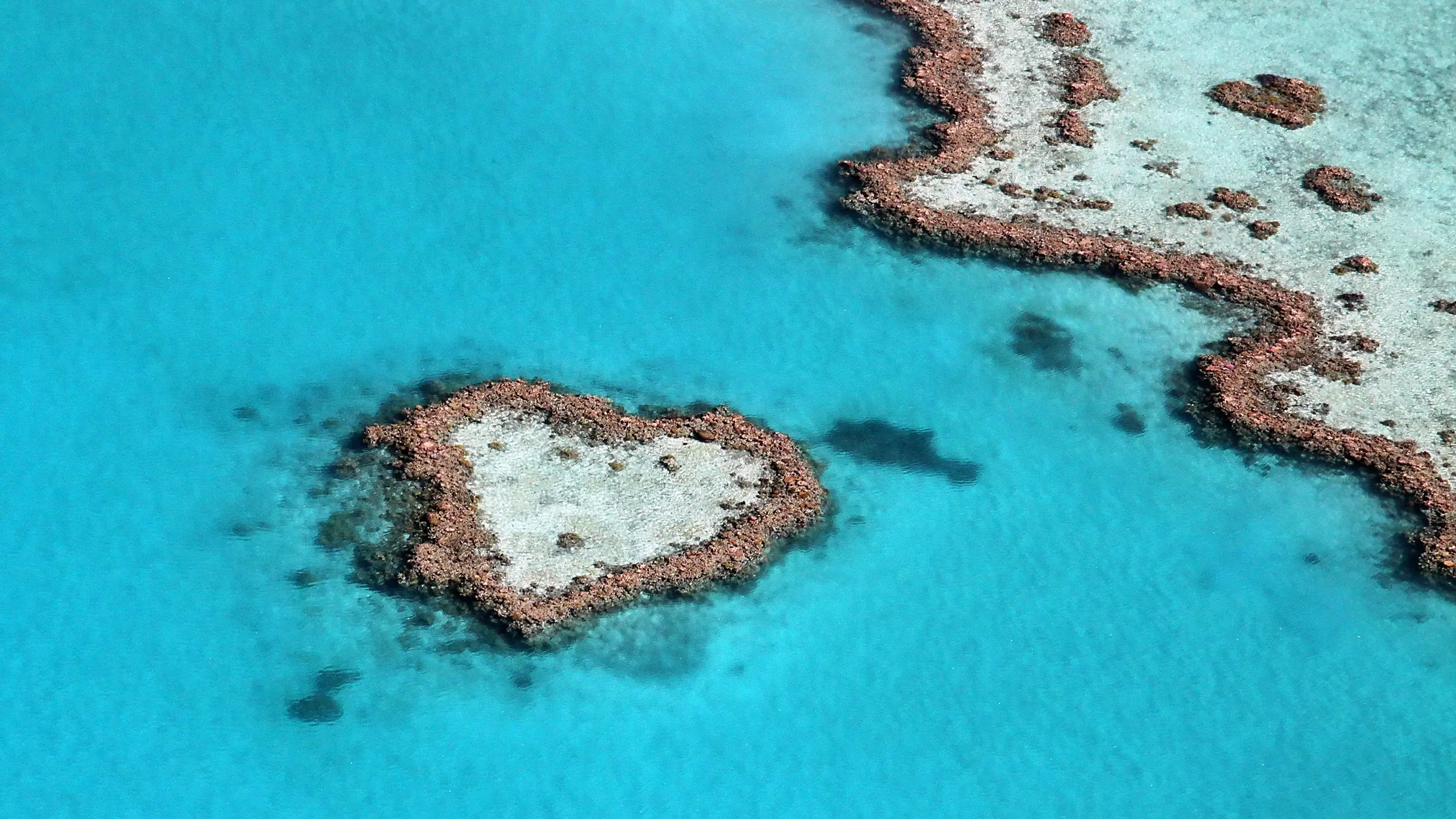 Aerial shot of heart-shaped reef surrounded by bright blue water, Heart Reef, Great Barrier Reef. Image credit: Shutterstock