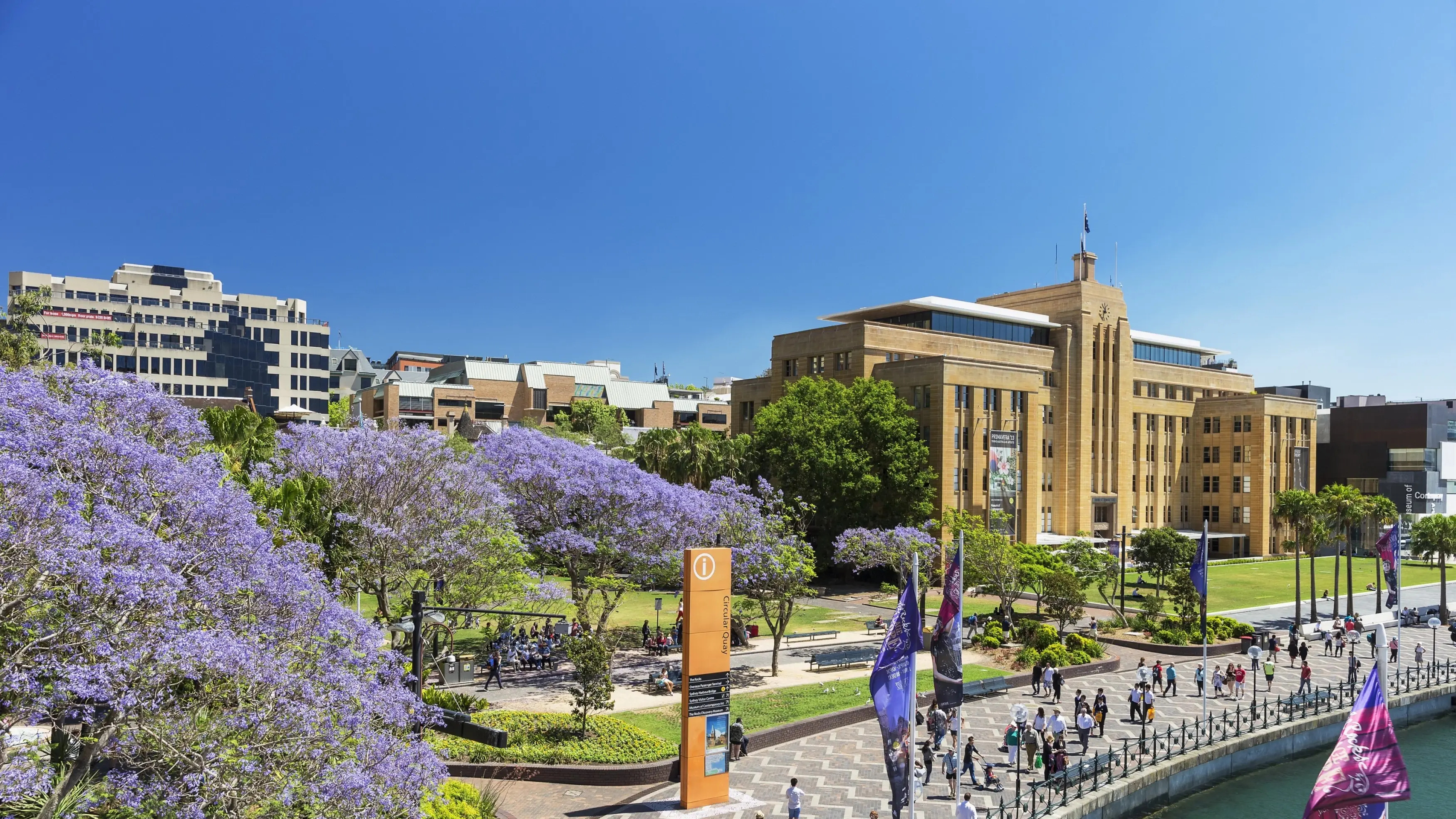 Circular Quay with wisteria trees in the foreground and MCA building in the background on a sunny day. Image credit: Destination NSW