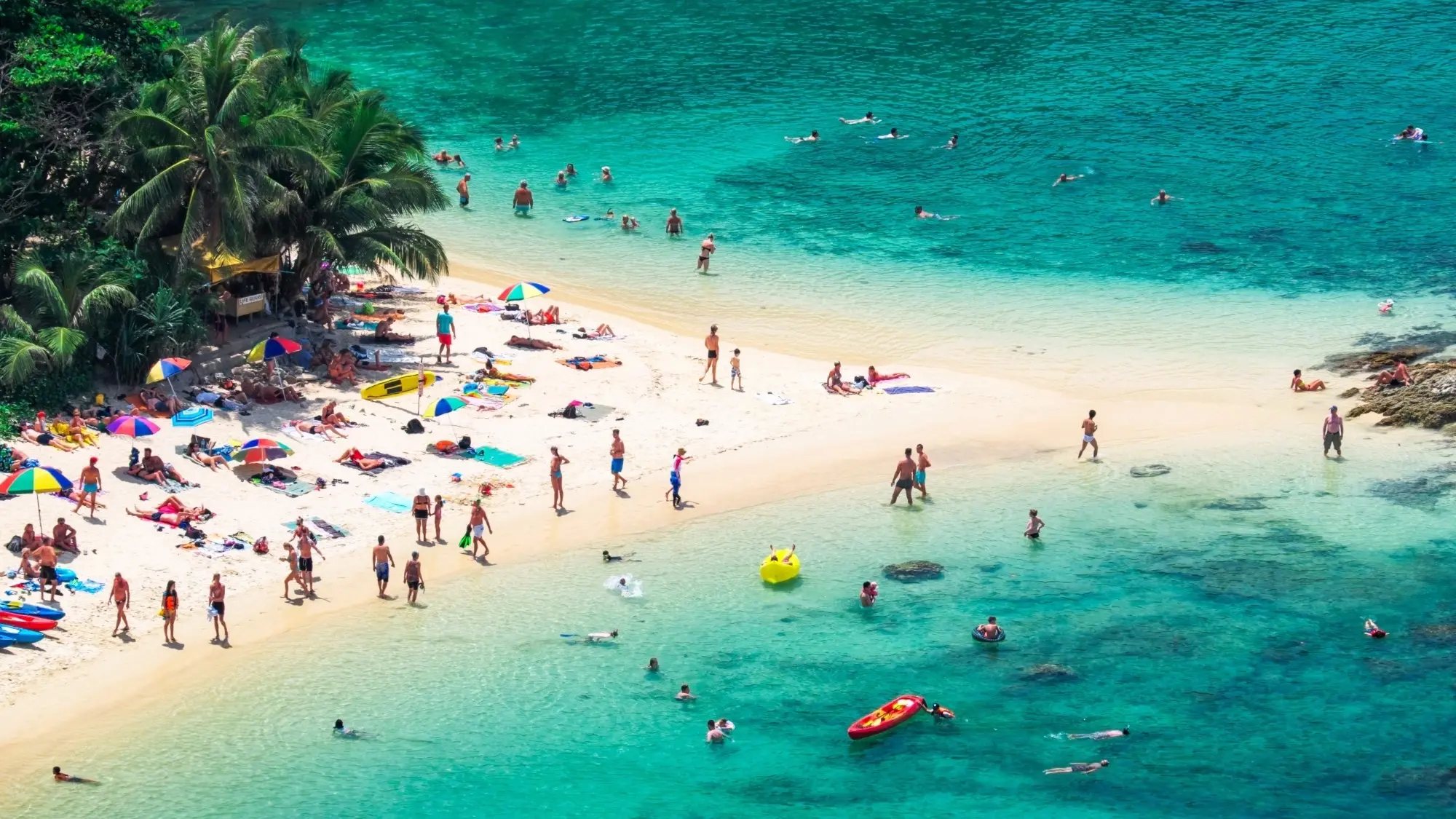 Beachgoers on the sand and in the water at palm-fringed Ya Nui Beach on a sunny day, Phuket, Thailand. Image credit: Tee11/Shutterstock