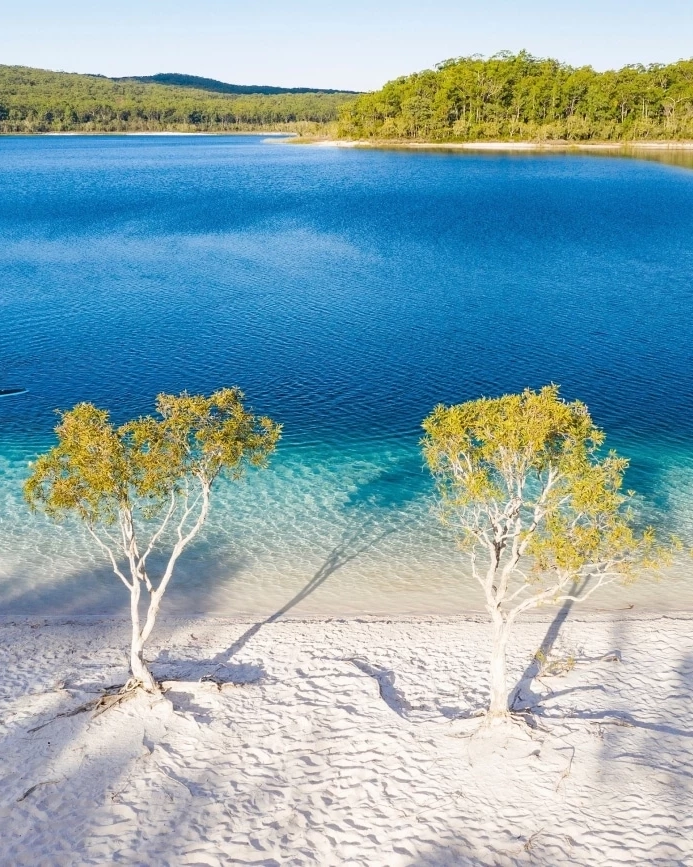 Two people stand-up paddle boarding on the clear blue water of Lake McKenzie on Fraser Island. Image credit: Shutterstock