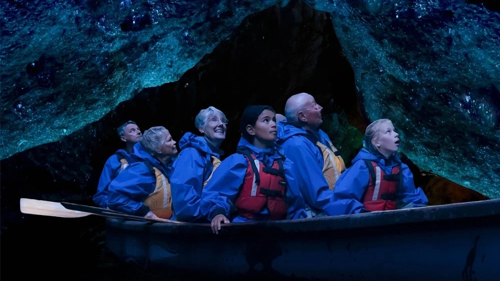 Group of people in a canoe looking up at glow-worms on rock face at night.