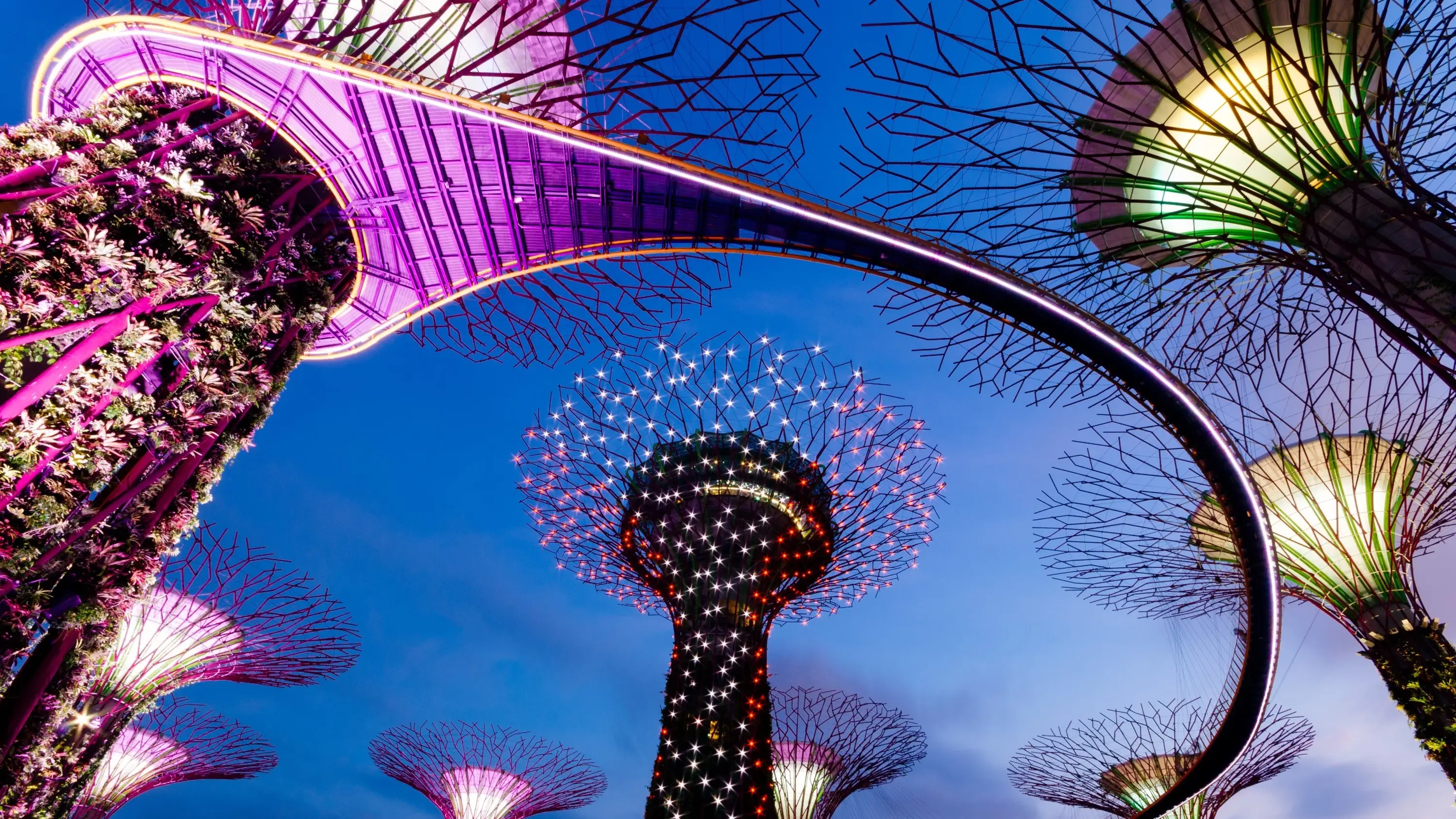 Night view of the illuminated giant 'trees' in the Supertree Grove at the Gardens by the Bay in Singapore. Image credit: stock.adobe.com